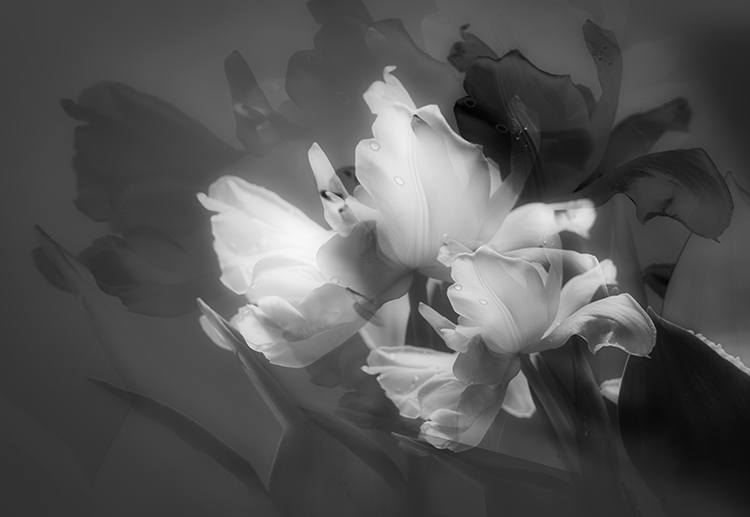 Grab der Sinti und Roma in Beuel